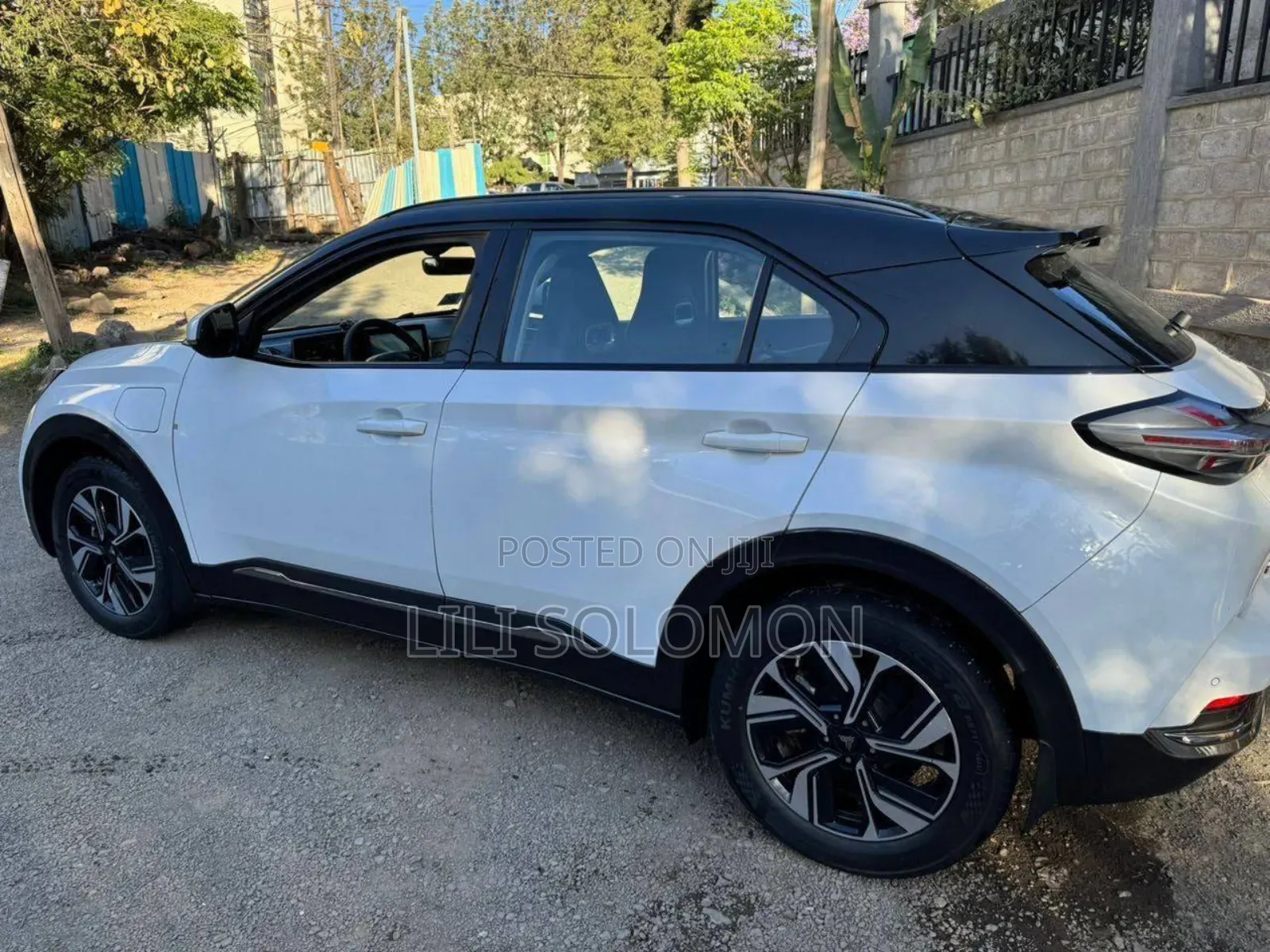 Hozon Neta U 2023 White