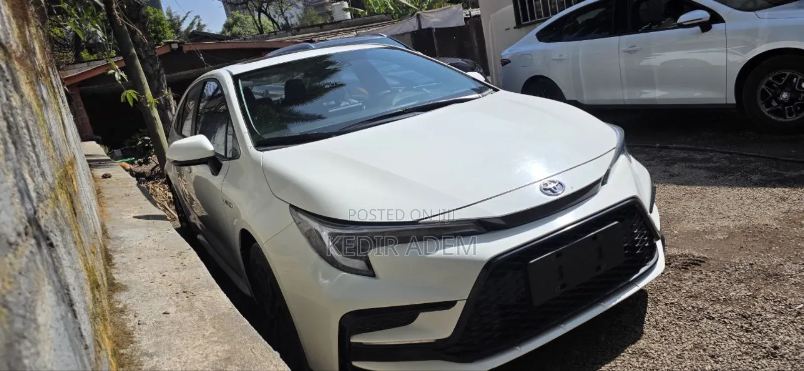 New Toyota Corolla 2024 White