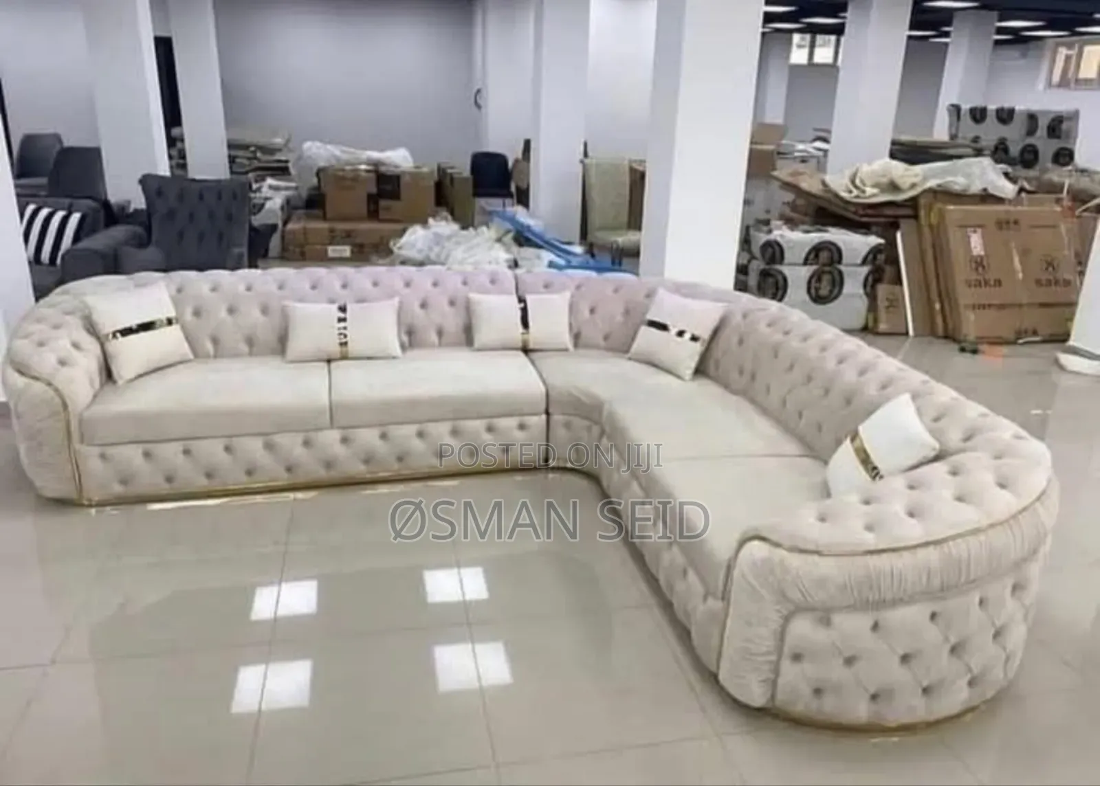 Brand New Graceful Sofa