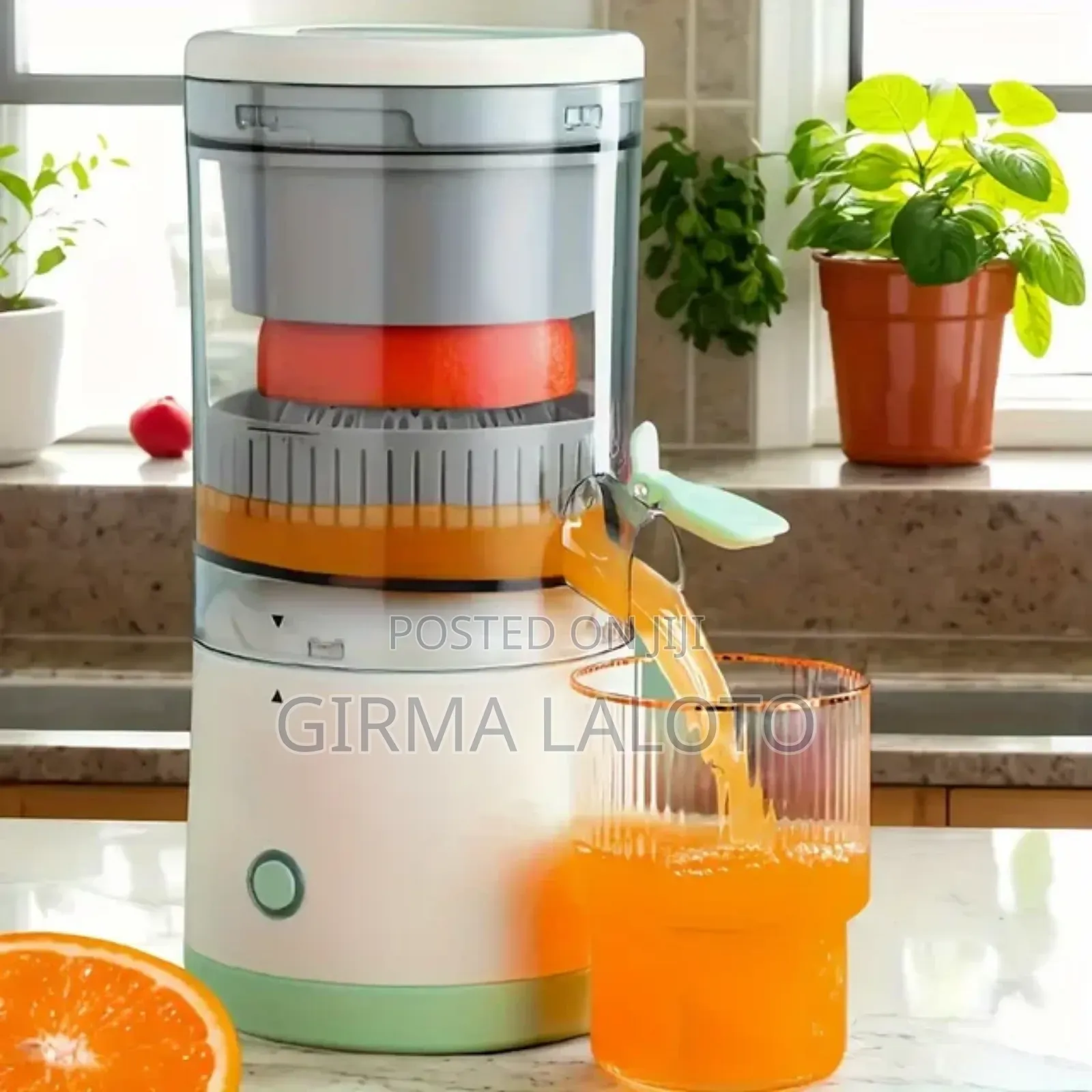 Plastic Citrus Juicer