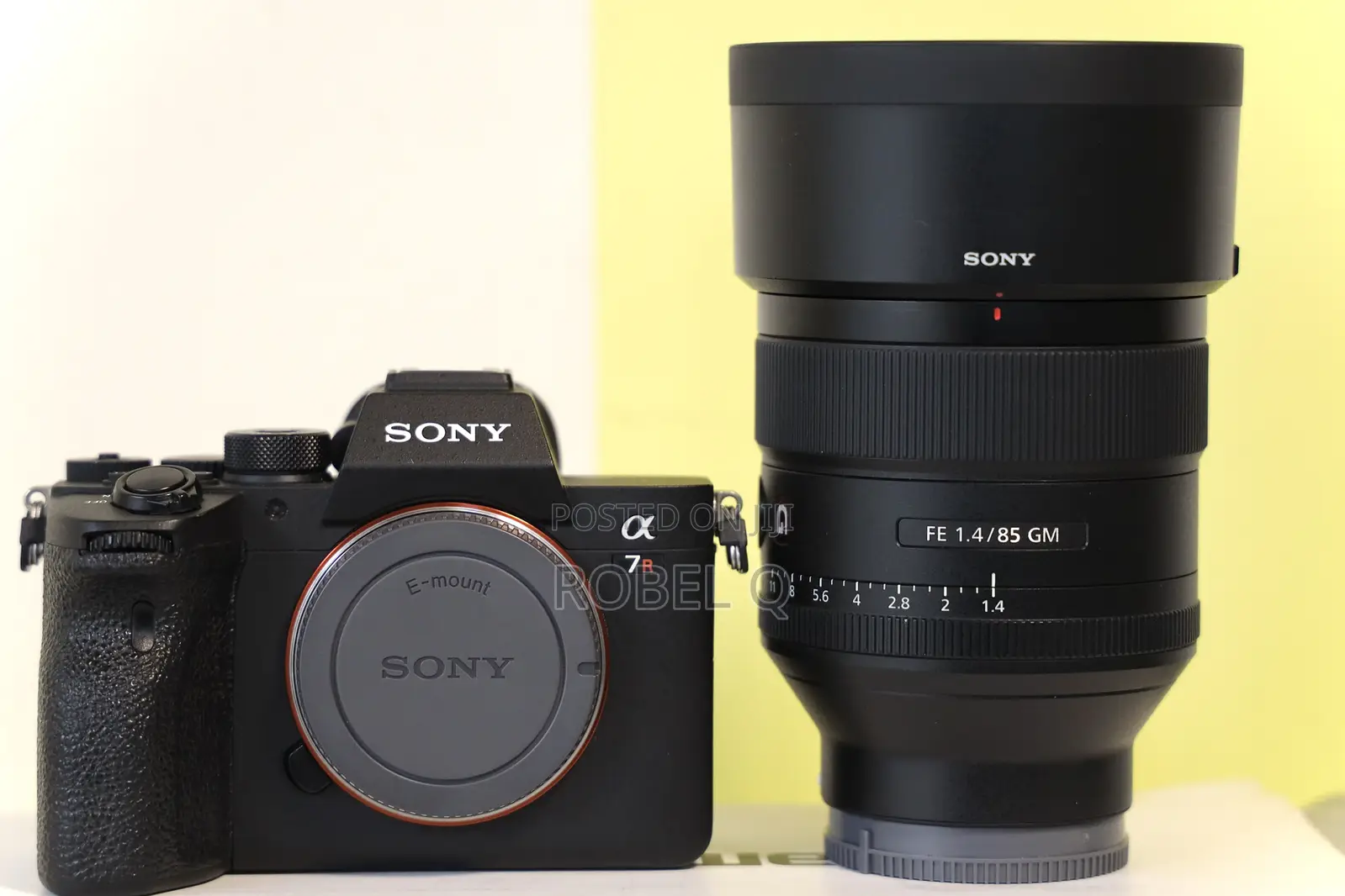 Sony Alpha 7r Iv With 85mm F1.4 Gm