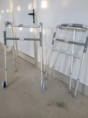 Walking Stick船身walking Aid凹匆folding Walker 2 - Silver