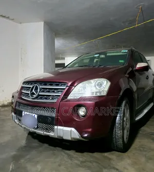 Mercedes-Benz M Class 2010 Burgundy