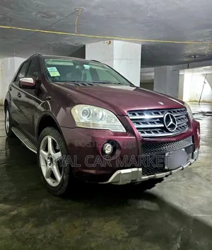 Mercedes-Benz M Class 2010 Burgundy