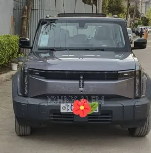 New Chery iCar EQ3 2024 Gray