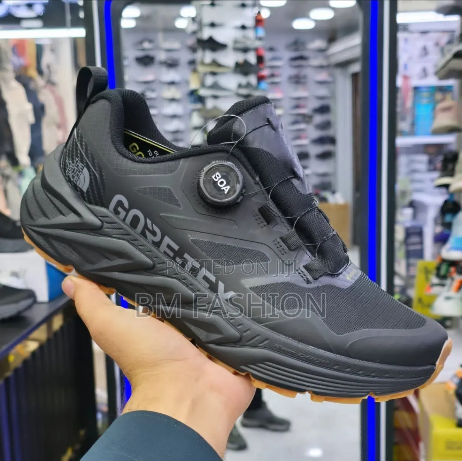 The North-Face Gore-Tex Running Shoes (Pure Comfort)