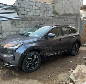 Photo - Hozon Neta U 2023 Gray