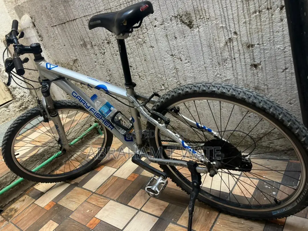 Bicycle - Trek Mountain