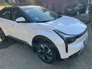 Photo - Hozon Neta U 2023 White