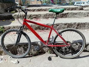 Photo - Mountain Bike Saykel