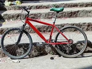 Mountain Bike Saykel