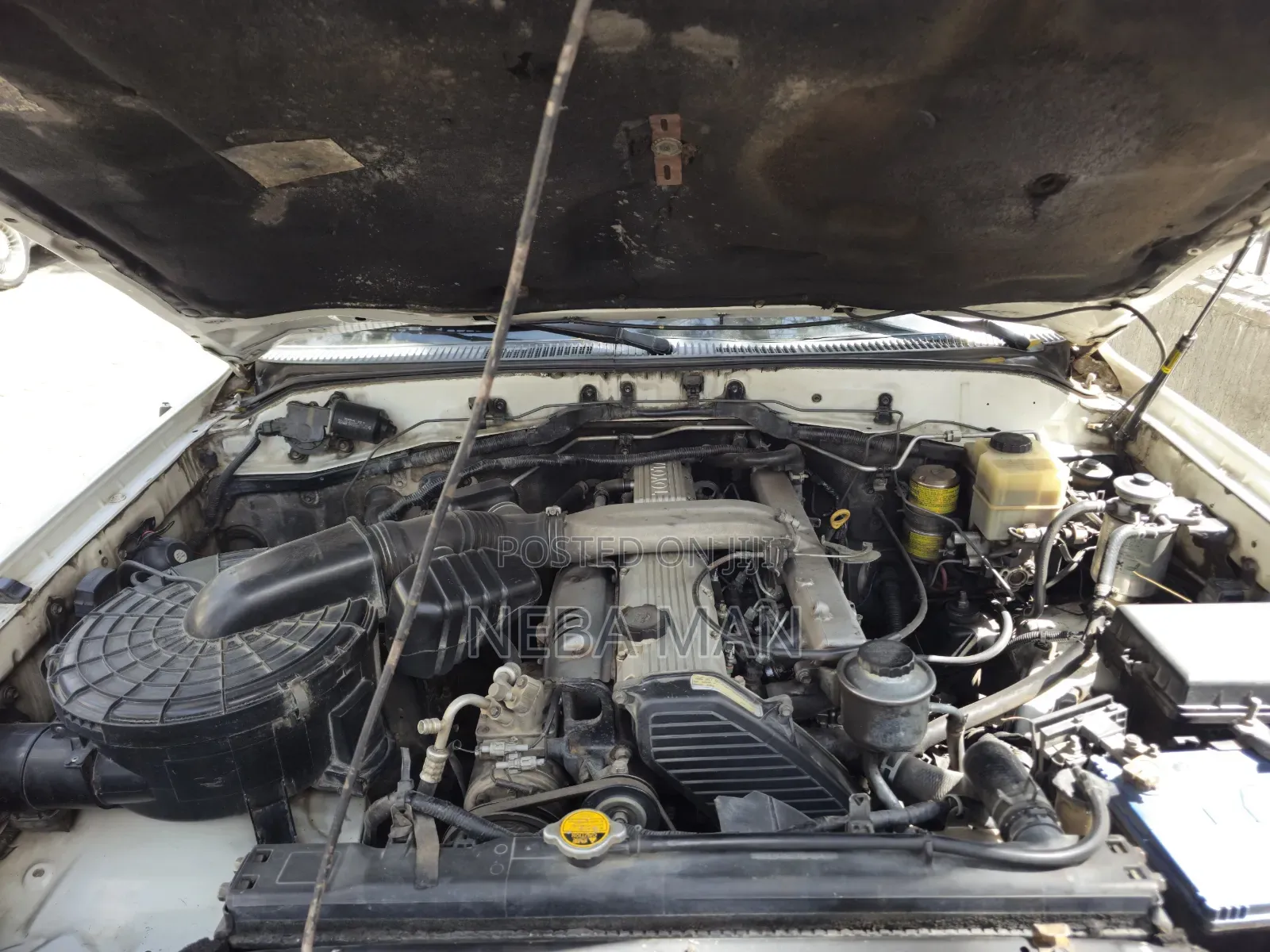 Toyota Land Cruiser 2006 White