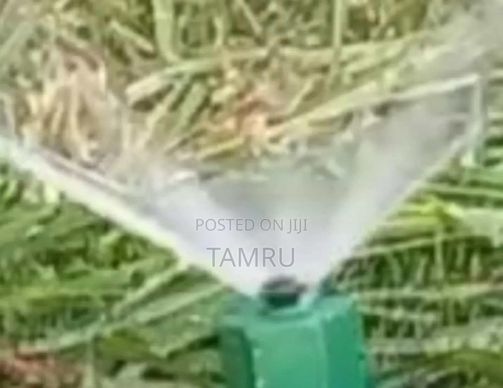 Sprinkeler ስፕሪንኪለር