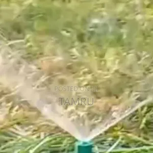 Sprinkeler ስፕሪንኪለር