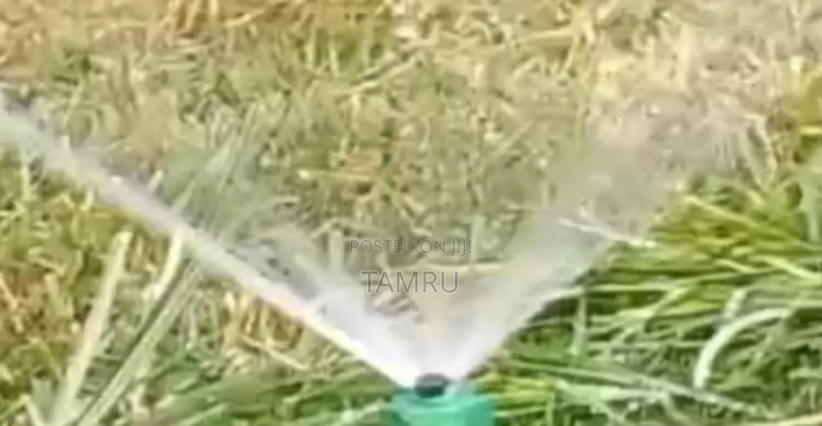 Sprinkeler ስፕሪንኪለር