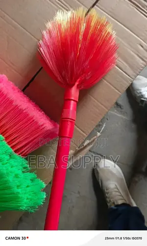 Broom Ckeaning Spider
