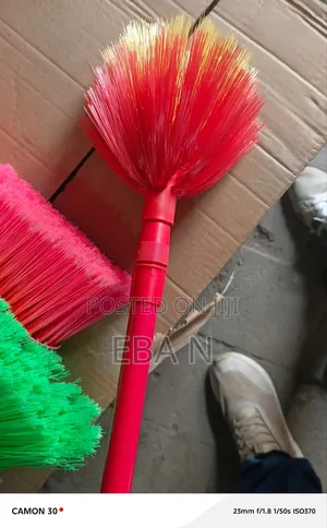 Broom Ckeaning Spider