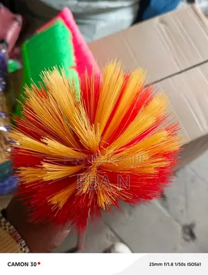 Broom Ckeaning Spider