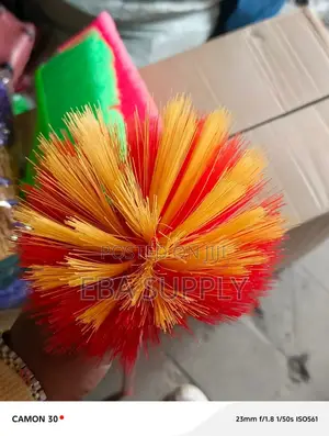 Broom Ckeaning Spider
