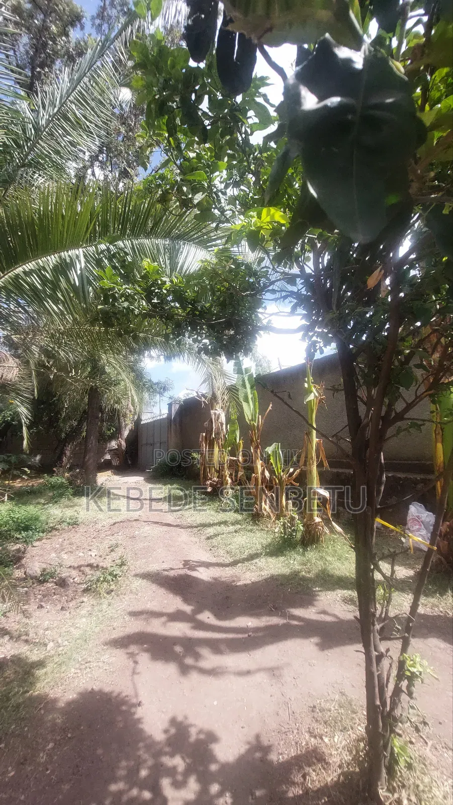 9bdrm House in East Shewa for sale