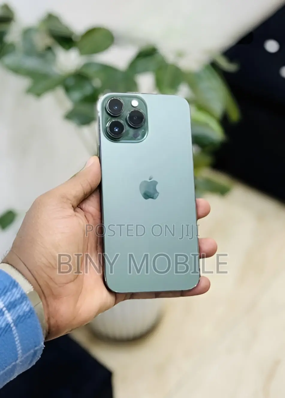 Apple iPhone 13 Pro Max 256 GB Green