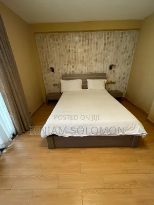 Furnished 2bdrm Apartment in Bole for rent