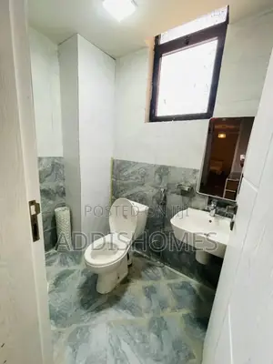 Furnished 3bdrm Apartment in Bole for rent