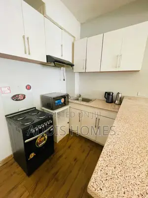 Furnished 1bdrm Apartment in Bole for rent