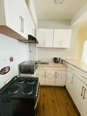 Furnished 1bdrm Apartment in Bole for rent