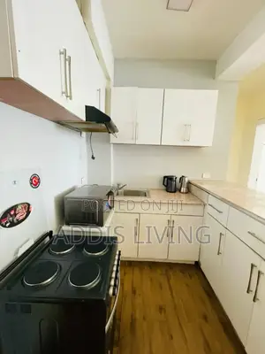 Furnished 1bdrm Apartment in Bole for rent