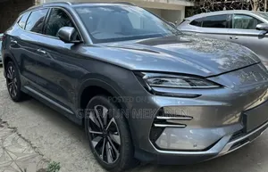 New BYD Song Plus 2024 Gray