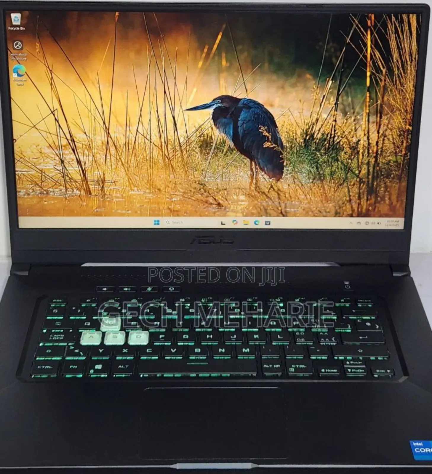 New Laptop Asus TUF Gaming A15 16GB Intel Core I5 SSD 512GB
