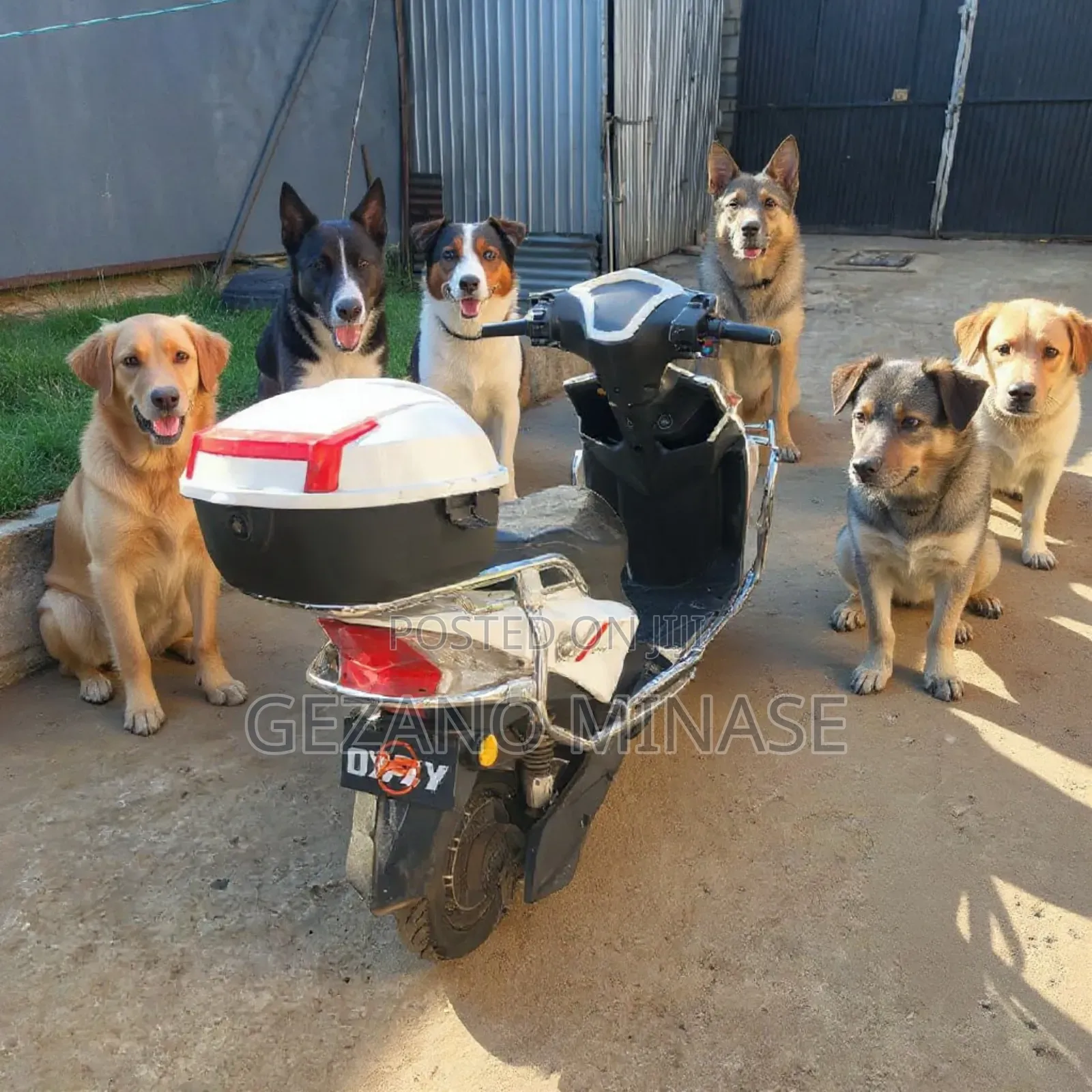 New KR Motors 2024 Gray