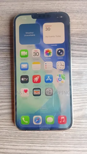 New Apple iPhone 13 Pro Max 1 TB Gold