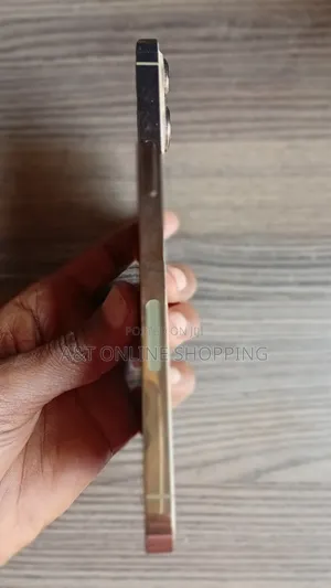 New Apple iPhone 13 Pro Max 1 TB Gold