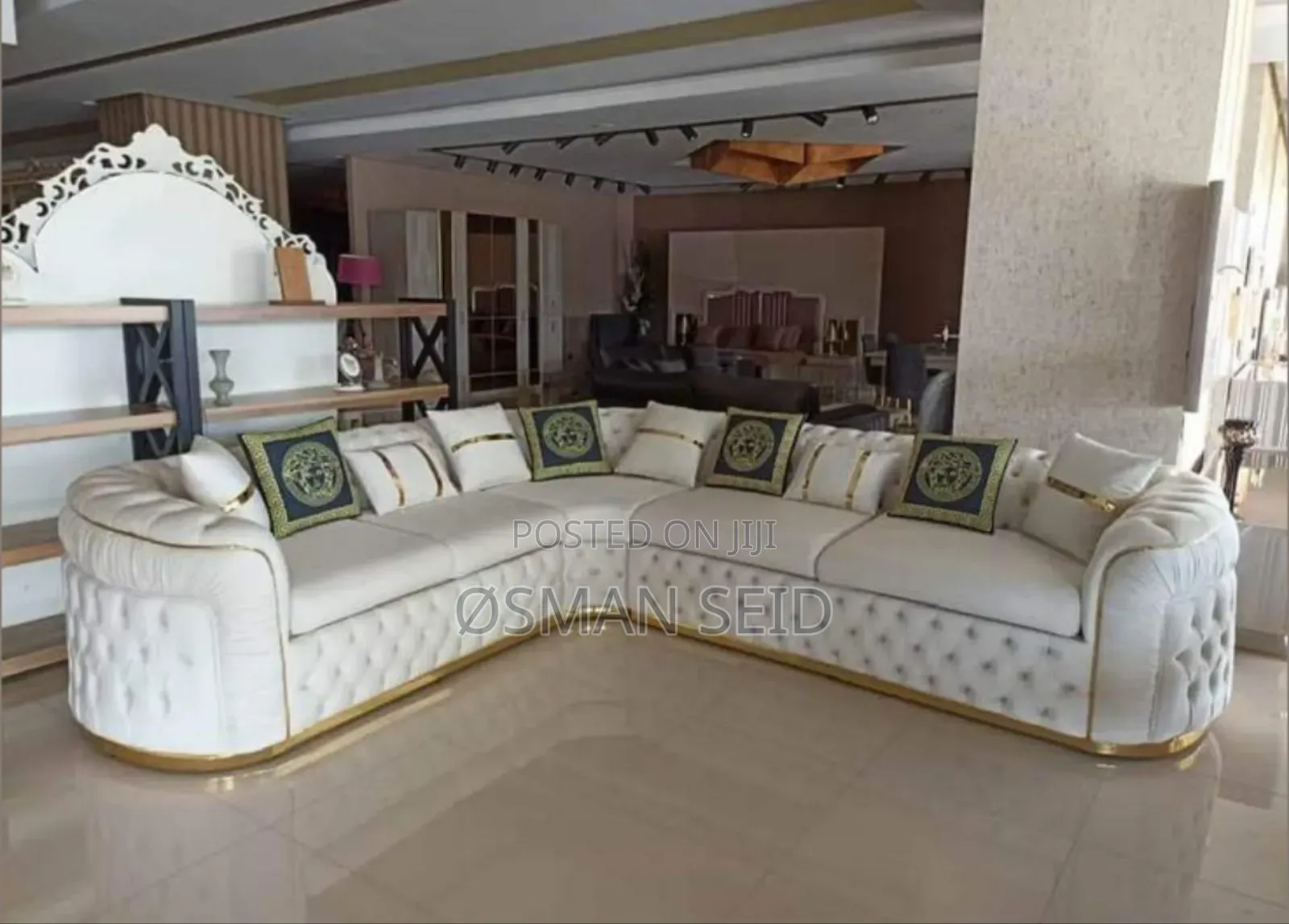 Shiny New Mode Leather Sofa