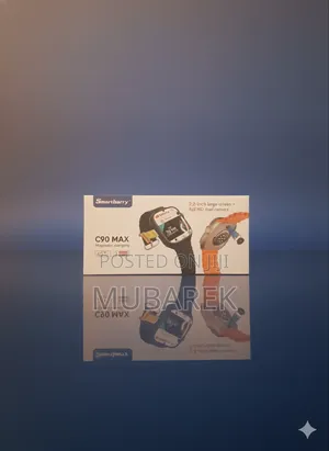 Photo - Titanium Color C90 Max Watch