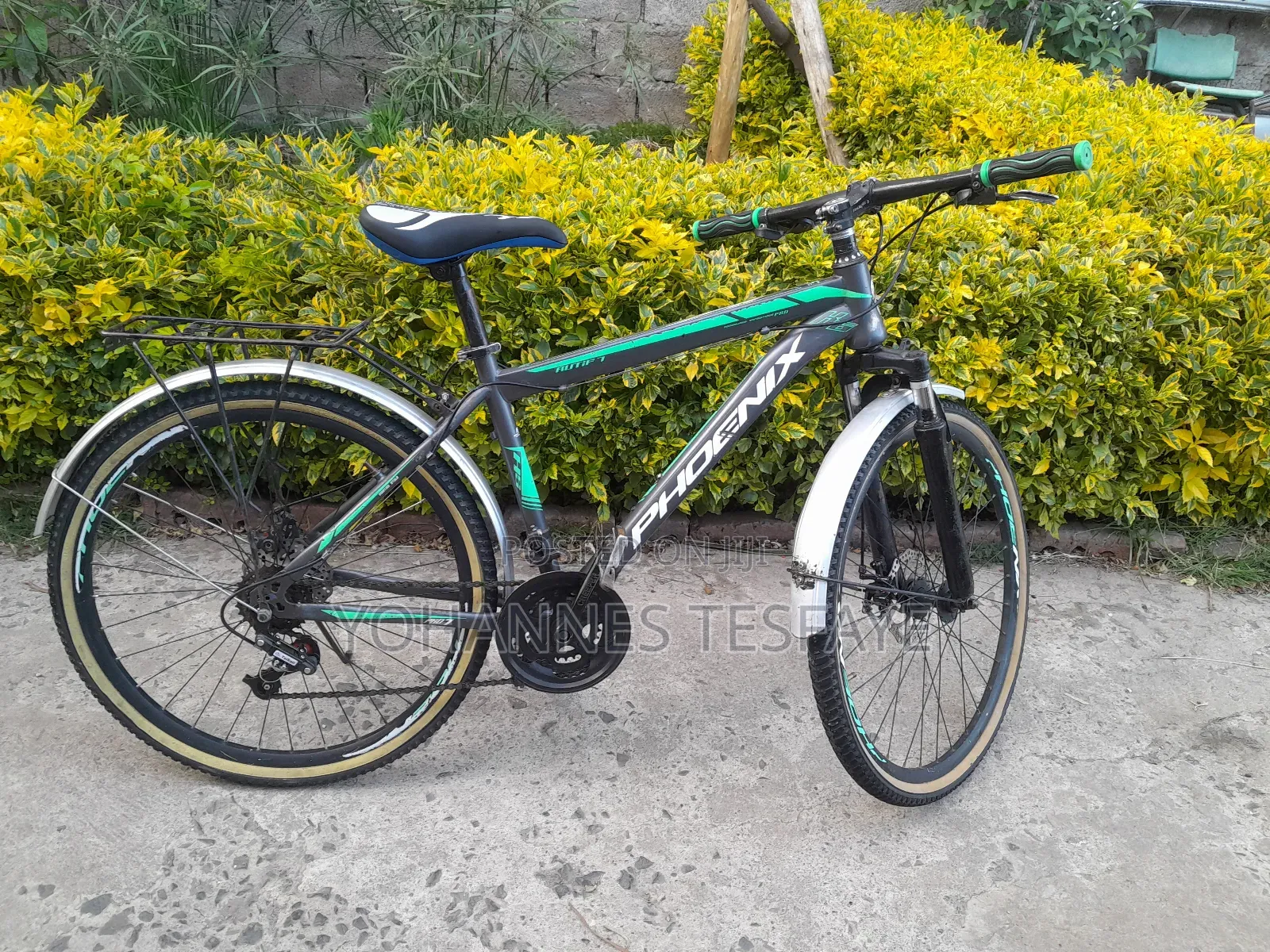 Phoenix 26 Kutr Bike