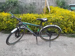 Phoenix 26 Kutr Bike
