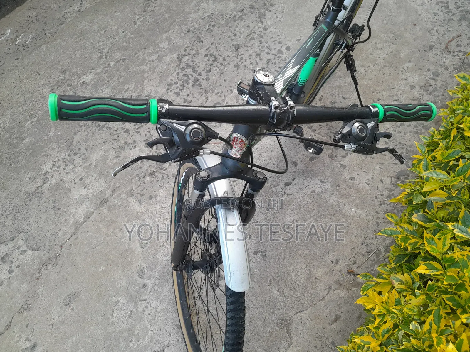 Phoenix 26 Kutr Bike