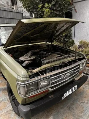 Photo - Toyota Land Cruiser 1983 Green