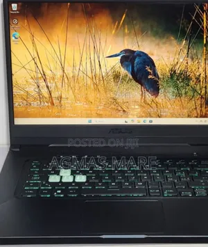 Photo - New Laptop Asus TUF Gaming A15 16GB Intel Core I7 SSD 512GB