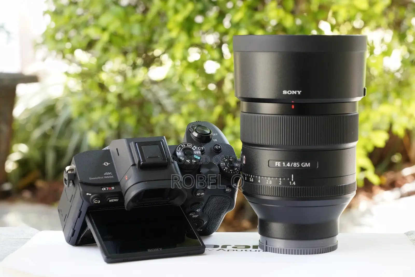 Sony Alpha 7r Iv With 85mm F1.4 G Master