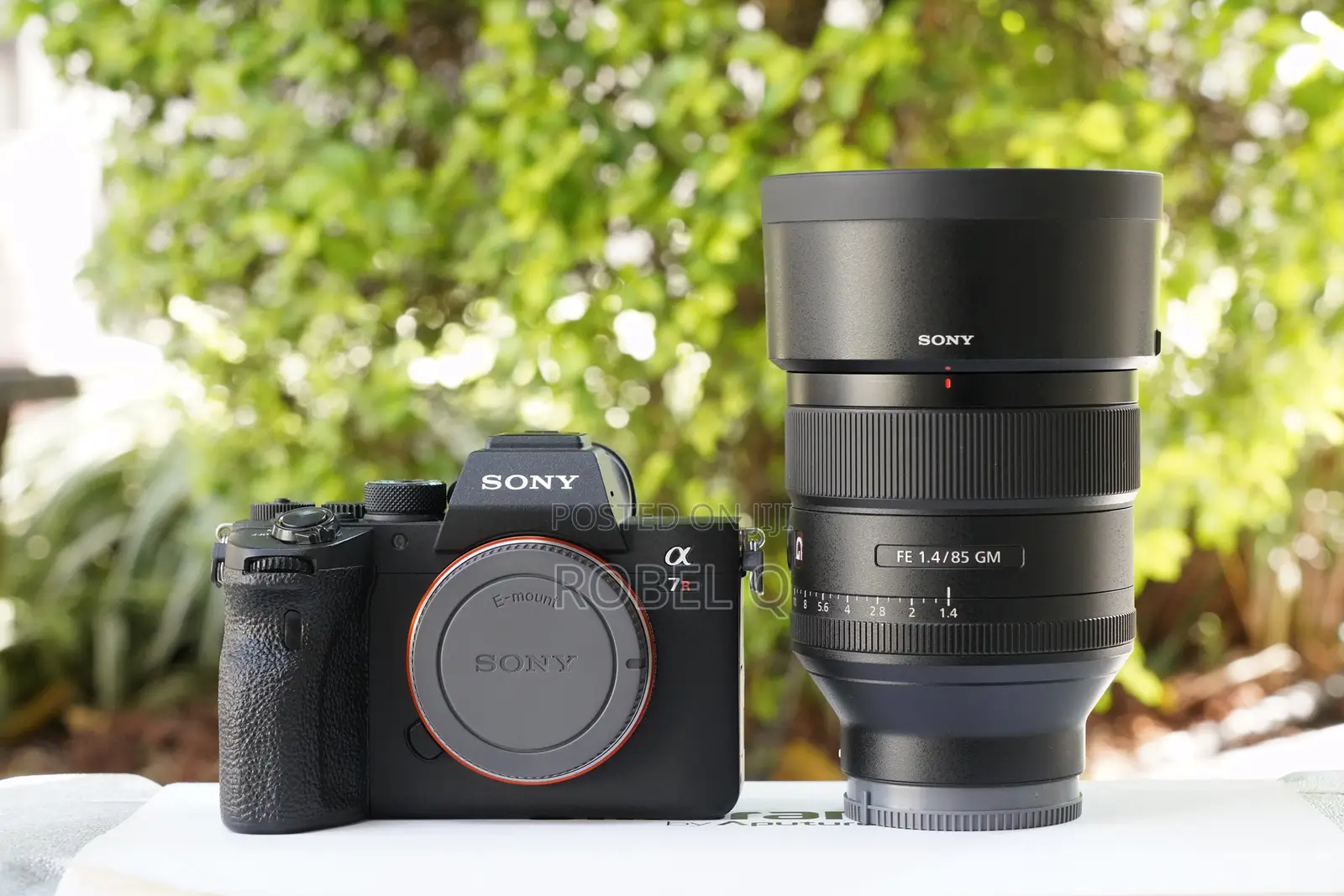 Sony Alpha 7r Iv With 85mm F1.4 G Master