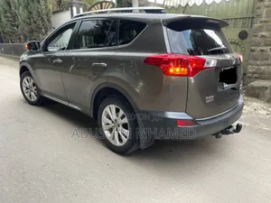 Toyota RAV4 2015 Brown
