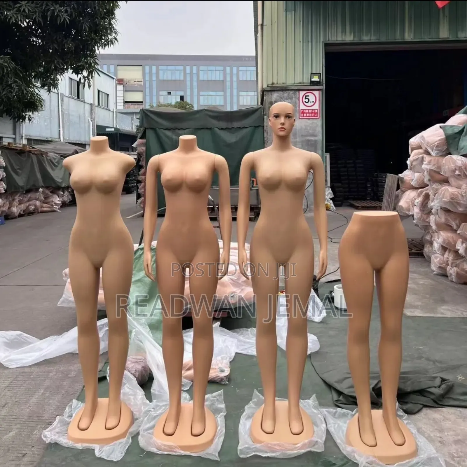 Asangllet አሻንጉሊት