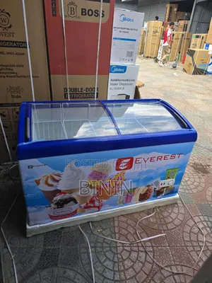 Display Showcases 500-Litters Ice Fridges Deliver