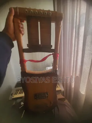 Photo - Electrical Transposing Krar