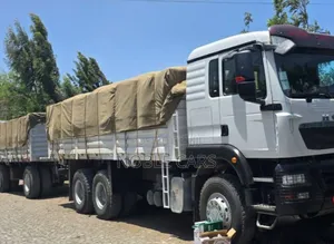 Sino With Trialers [ 9.5 Million Etb Bank Loan]