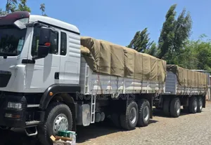 Sino With Trialers [ 9.5 Million Etb Bank Loan]